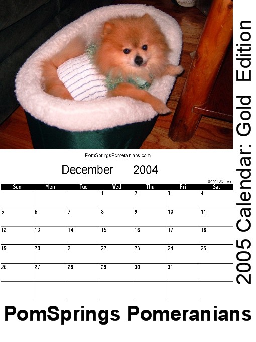 Title details for PomSprings Pomeranians 2005 Calendar: Gold Edition by Margaret Elaine Harris - Available